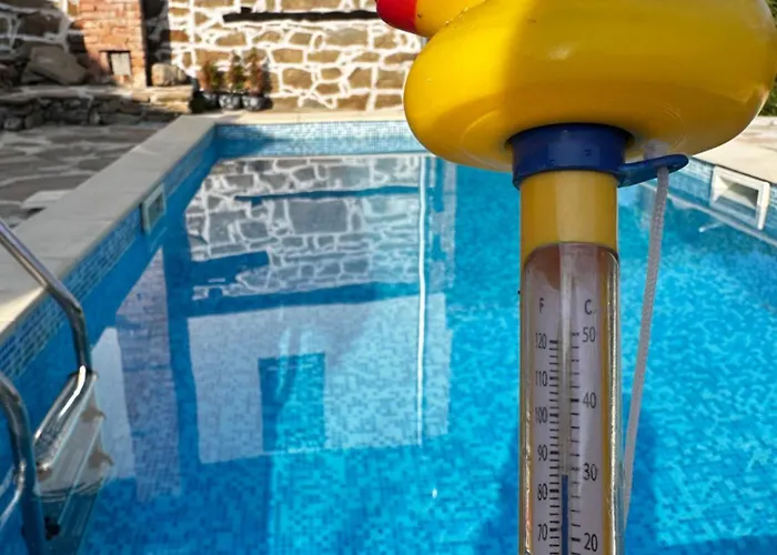 ножери * トリャブナ