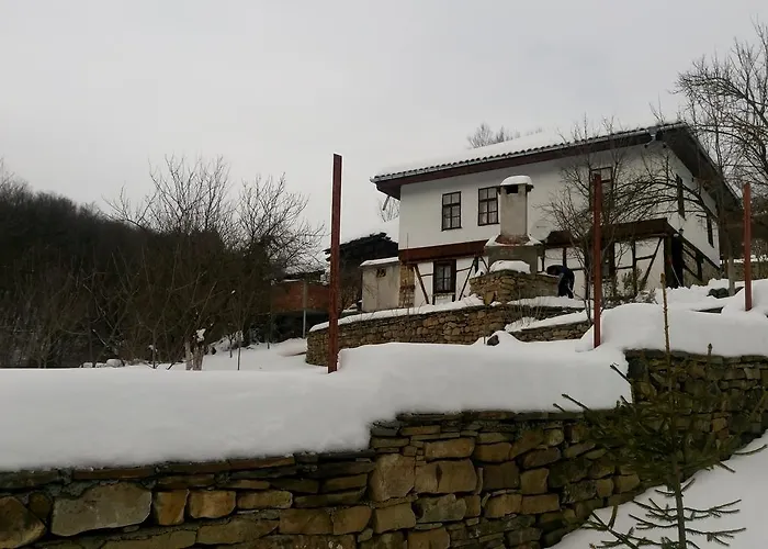 別荘 ножери *