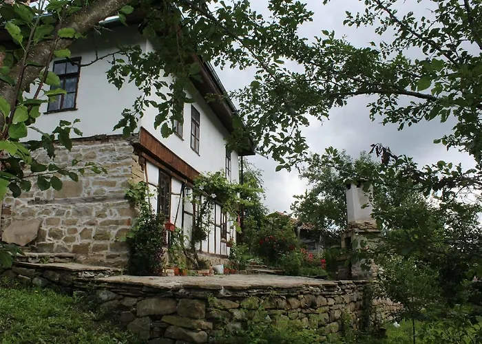 ножери * トリャブナ