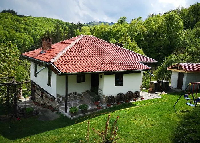 別荘 ножери *